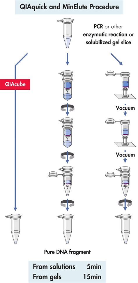 dna extraction and purification kit|QIAquick Gel Extraction Kit .